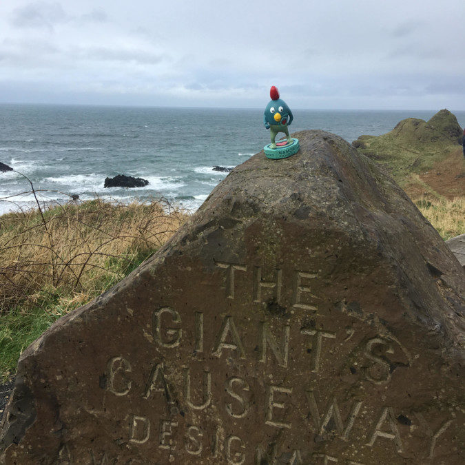 Ruman à la chaussée des Géants (Irlande du Nord)