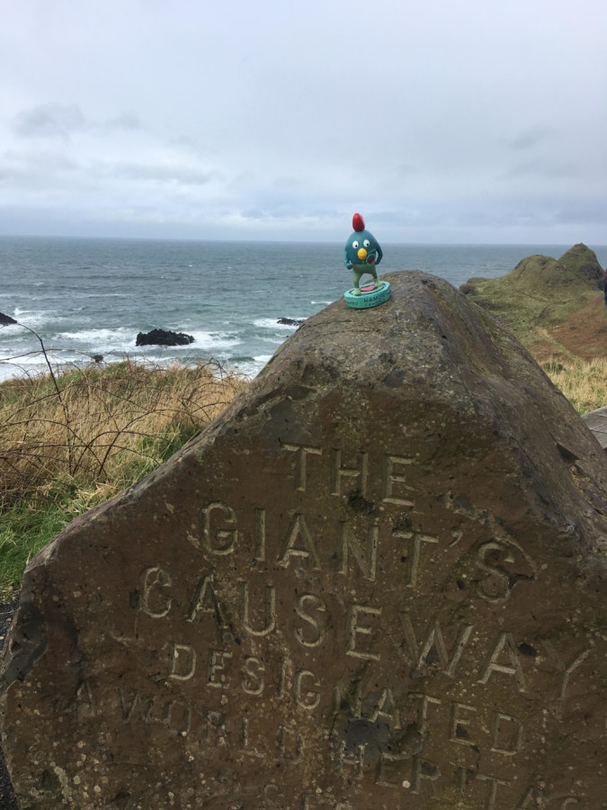 Ruman à la chaussée des Géants (Irlande du Nord)