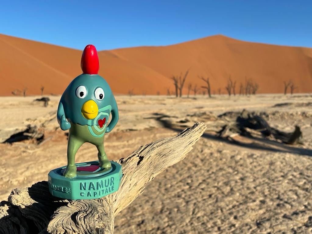 Ruman dans le désert de Sossusvlei