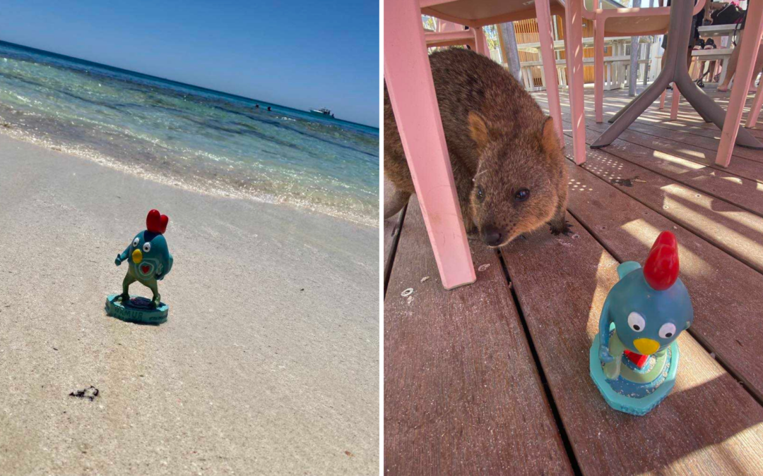 Ruman à Rottnest Island