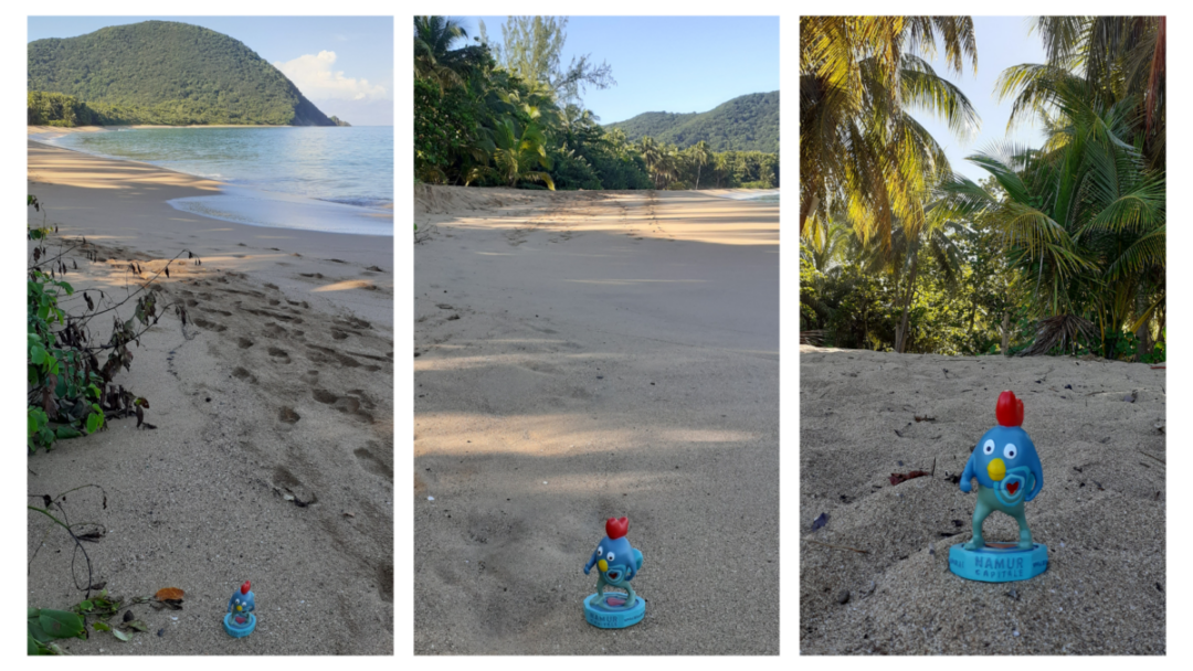 Ruman en Guadeloupe