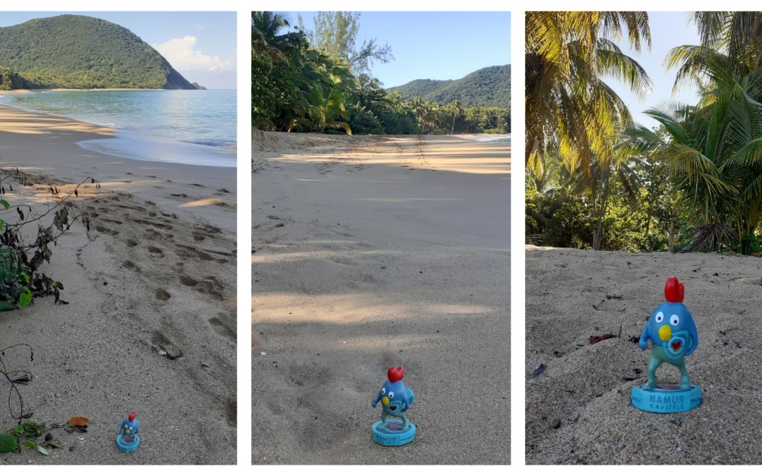 Ruman en Guadeloupe