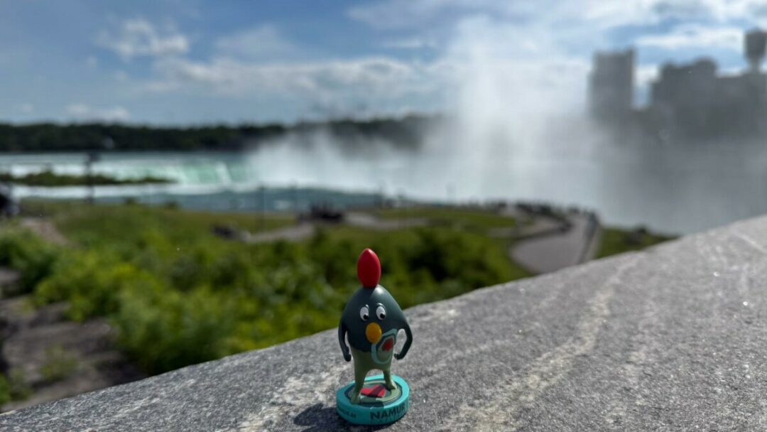 Ruman aux chutes du Niagara