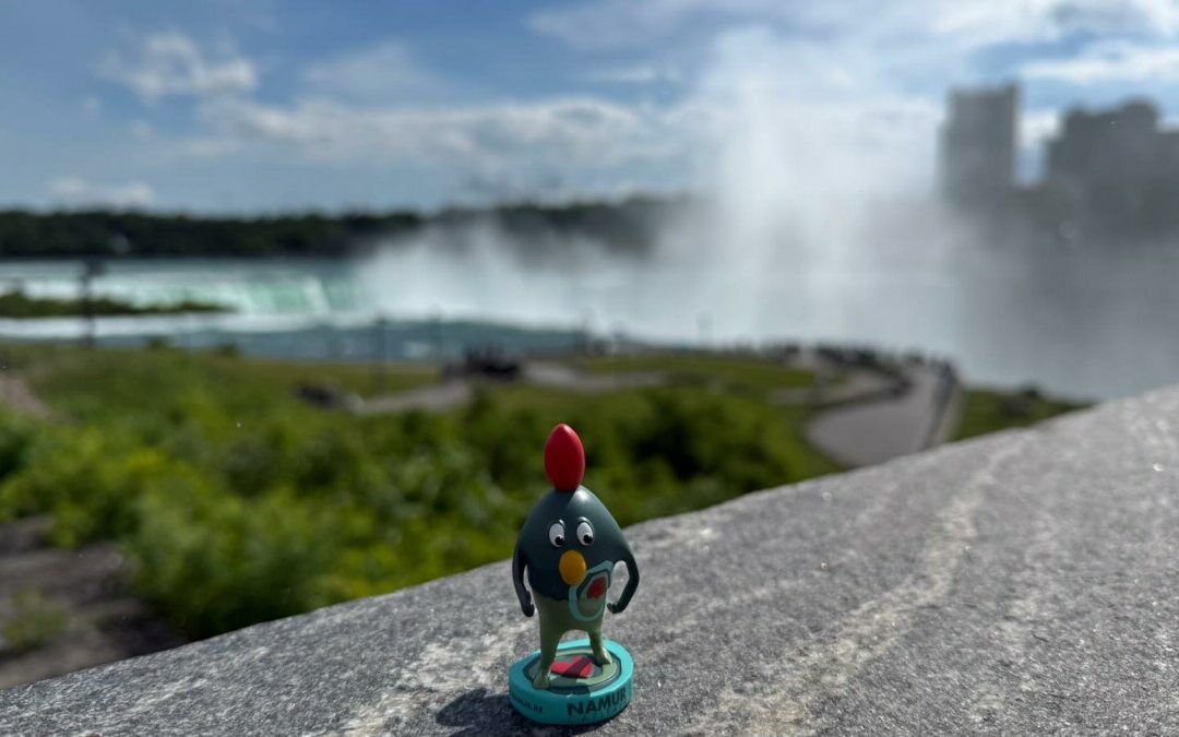 Ruman aux chutes du Niagara