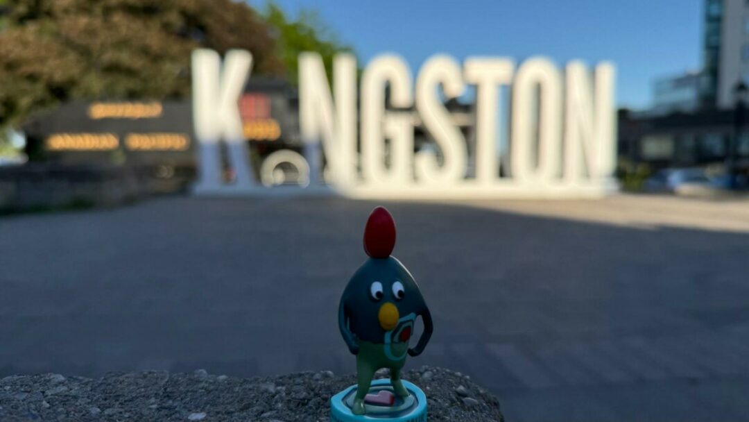 Ruman à Kingston