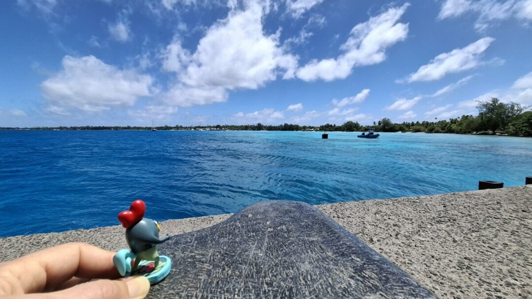 Ruman en Polynésie française (Rangiroa)