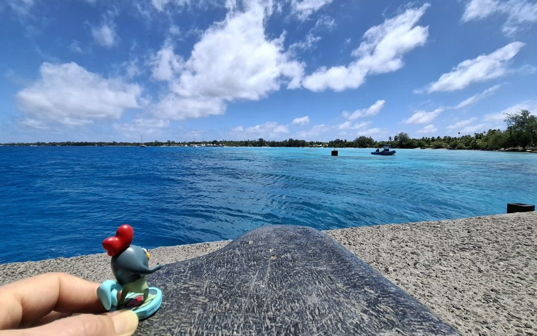 Ruman en Polynésie française (Rangiroa)